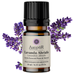 Lavanda Abrialis - comprar online