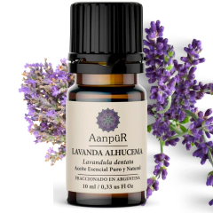 Lavanda Alhucema - comprar online