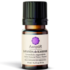 Lavanda Kashmir