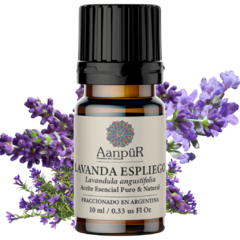 Lavanda Espliego - comprar online