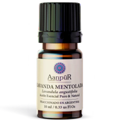 Lavanda Mentolada