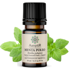 Menta Poleo - comprar online