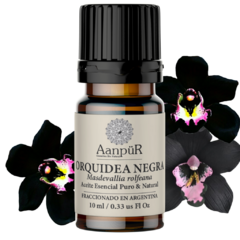 Orquídea Negra - comprar online