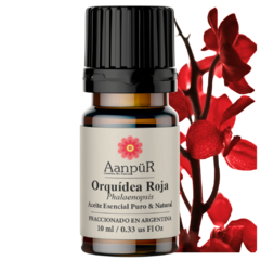 Orquídea Roja - comprar online