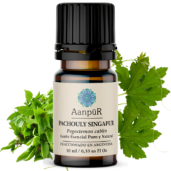 Pachouly Singapur - comprar online