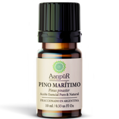 Pino Marítimo