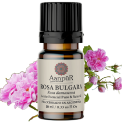 Rosa Búlgara - comprar online