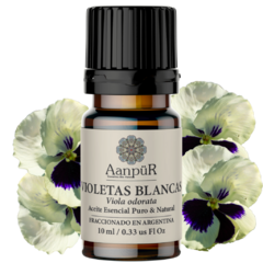 Violetas Blancas - comprar online