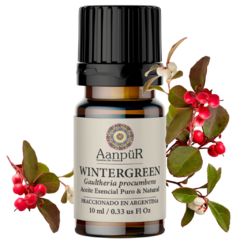 Wintergreen - comprar online