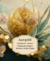 Carrusel AanpüR Aromaterapia Natural