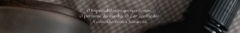 Banner da categoria Essência