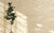 REV. FIORANNO VERSANO BEIGE 14303 32X57 CX2,03 11 PEÇAS - comprar online