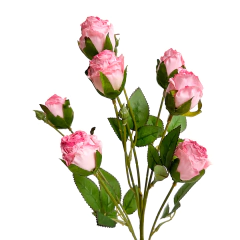 Haste Rosas FP054P na internet