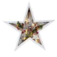 Estrela 12356
