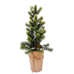 Mini pinheiro 1202516