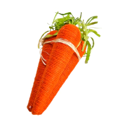 Cenoura Laranja CE013 na internet