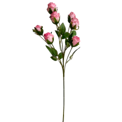 Haste Rosas FP054P - comprar online