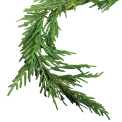 Festão Pinheiro Verde 2m 60361-004 na internet