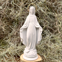 Nossa Senhora das Graças 15,5cm IMAG007 - comprar online