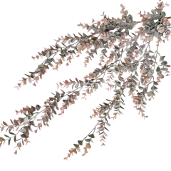 Folhas de Eucalipto 1037635 na internet