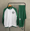 Conjunto - Sociedade Esportiva Palmeiras (Branco e Verde)