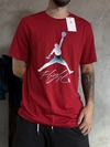 Camisa Jordan - Metalic