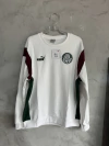 Moletom Palmeiras Treino 2024/25