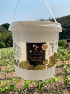 Folhas de Uva em conserva - Balde Pequeno 1 Kg