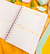 Planner do Professor - comprar online