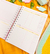 Planner do Professor - comprar online