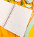 Planner do Professor - Diel Personalizados/ Agendas Personalizadas