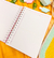 Planner do Professor - loja online