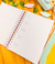 Planner do Professor na internet