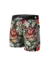 Boxer Haters Sapling