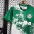 Camisa Palmeiras Edição Especial VERDE 24/25 - Masculino Torcedor na internet