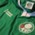 Camisa Paimeiras + balde de brinde + frete grátis para todo o Brasil! na internet