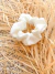 Scrunchie Off White - comprar online