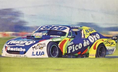 Chomba Guillermo Ortelli 2001 TC Turismo Carretera Chevrolet Chevy Pico de oro Retro - Avelan Indumentaria