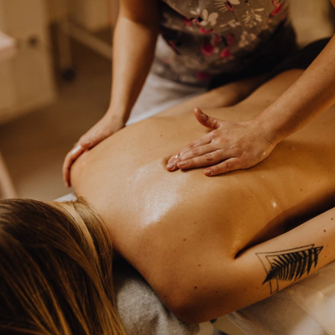 Massagem Terapêutica com Óleos Essenciais - comprar online