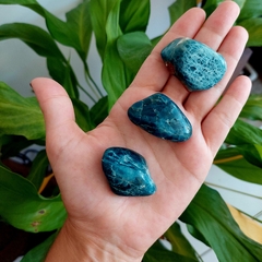 Apatita Rolada M - Potencialização e Comunicação - Terapias da Lua - Cristais Naturais | Acessórios Energéticos | Ervas e Aromas
