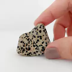 Pedra Dálmata Rolada M - Ancoramento, Alegria e Autocontrole - comprar online
