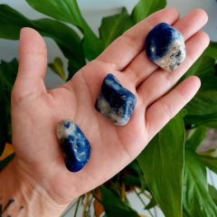 Sodalita Rolada P - Comunicação, Intuição e Entendimento - Terapias da Lua - Cristais Naturais | Acessórios Energéticos | Ervas e Aromas