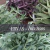 Banner de Terapias da Lua - Cristais Naturais | Acessórios Energéticos | Ervas e Aromas