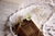 Clip White Night Garden | Importado - comprar online