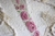 LOOP PET Tape PINK FLOWERS na internet