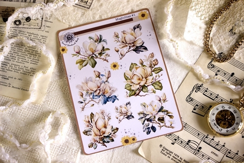 Cartela Magnólias | Special Handmade Things