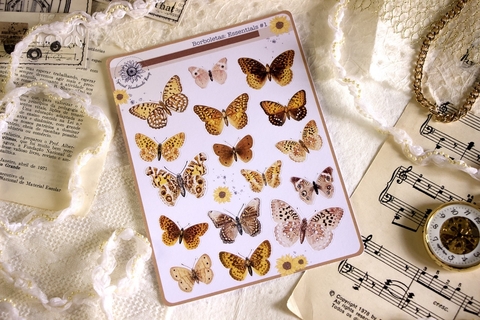 Cartela Borboletas | Special Handmade Things