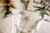 Adesivos Girassol/Margarida - loja online