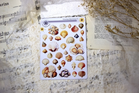 Cartela Conchas Marinhas | Special Handmade Things - comprar online