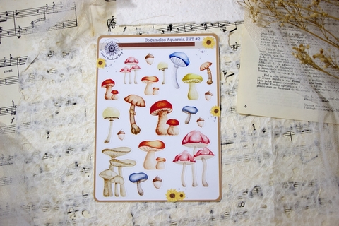 Cartela Cogumelos em AQUARELA #2 | Special Handmade Things - comprar online
